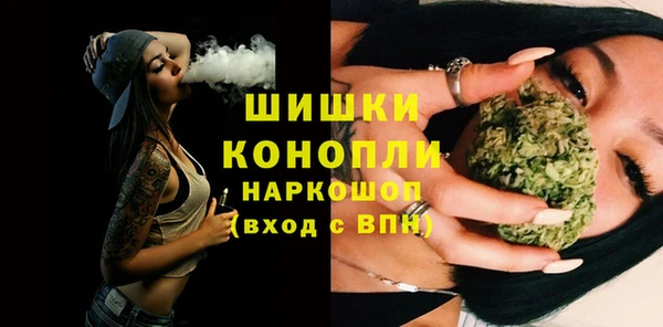 шишки Гусиноозёрск