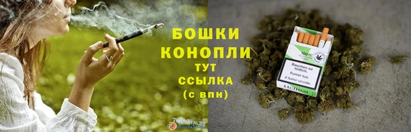 твердый Гусев