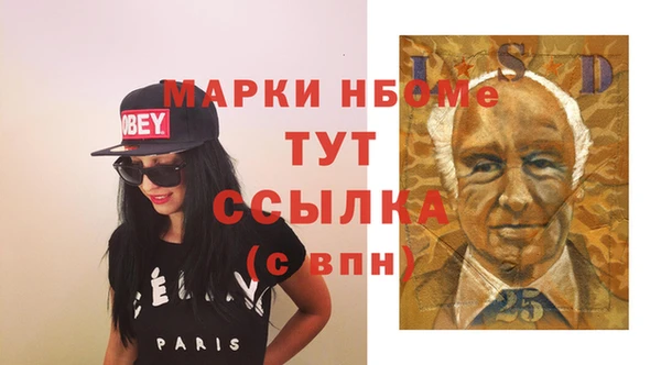 шишки Гусиноозёрск