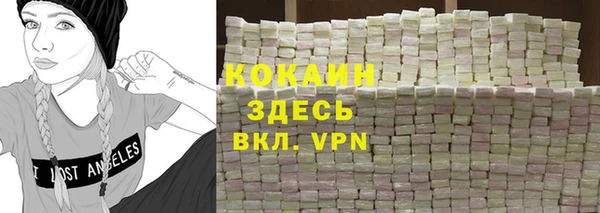 шишки Гусиноозёрск