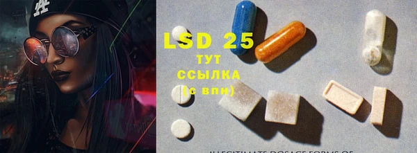 твердый Гусев