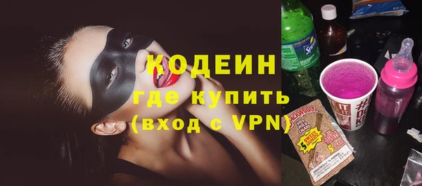 шишки Гусиноозёрск