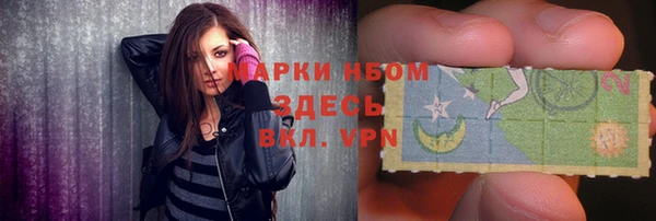 шишки Гусиноозёрск