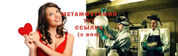 шишки Гусиноозёрск
