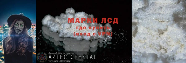твердый Гусев
