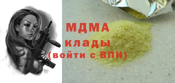 шишки Гусиноозёрск