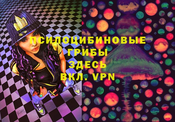 дурь Гусь-Хрустальный