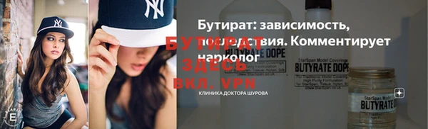 шишки Гусиноозёрск
