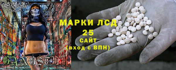 твердый Гусев
