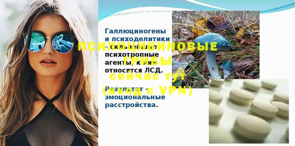 твердый Гусев
