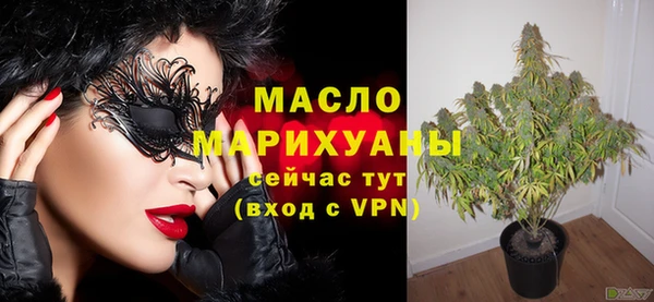 твердый Гусев