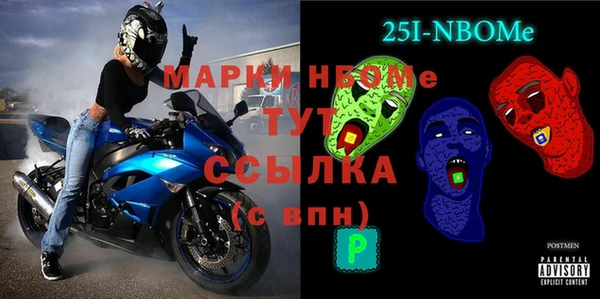 шишки Гусиноозёрск