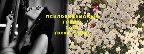 шишки Гусиноозёрск