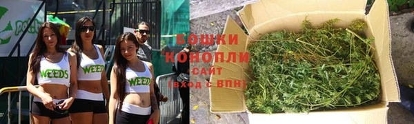 твердый Гусев