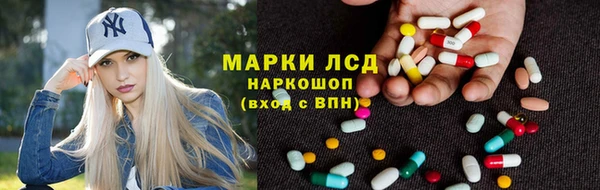 твердый Гусев