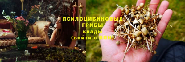 дурь Гусь-Хрустальный