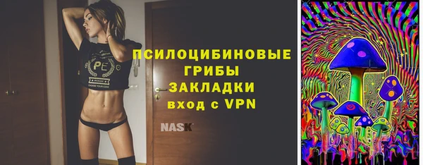 твердый Гусев