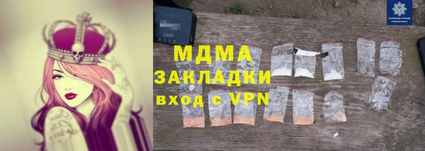 твердый Гусев