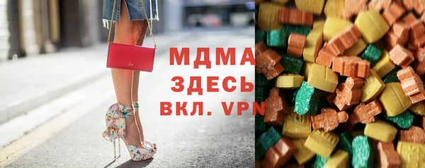 шишки Гусиноозёрск