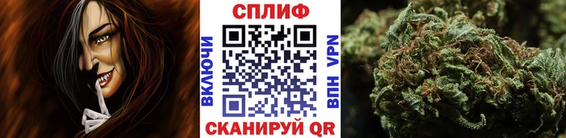 Бошки Шишки THC 21% Орехово-Зуево